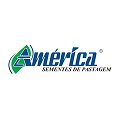 Logotipo América Sementes